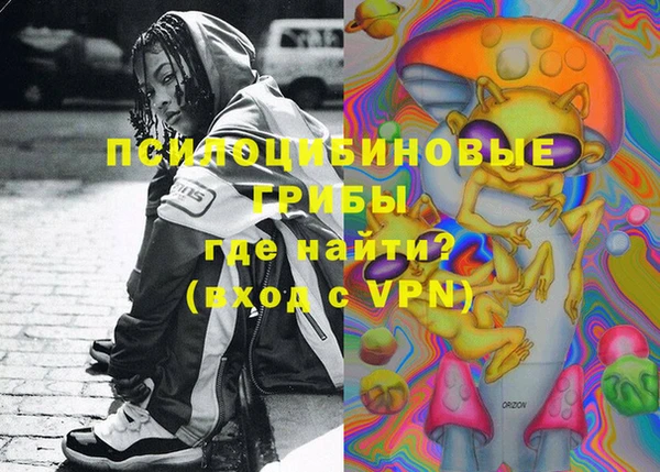 СК Абинск