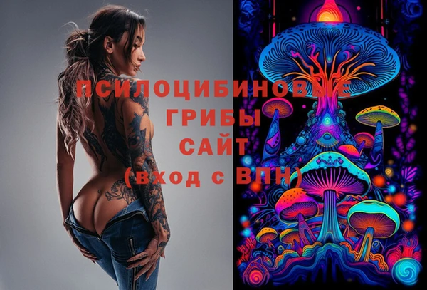 прущий лед Абаза